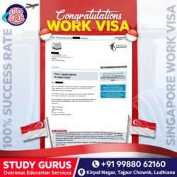 SG-Work Visa