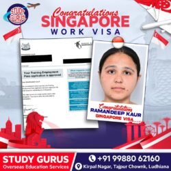 Study Gurus Visa success